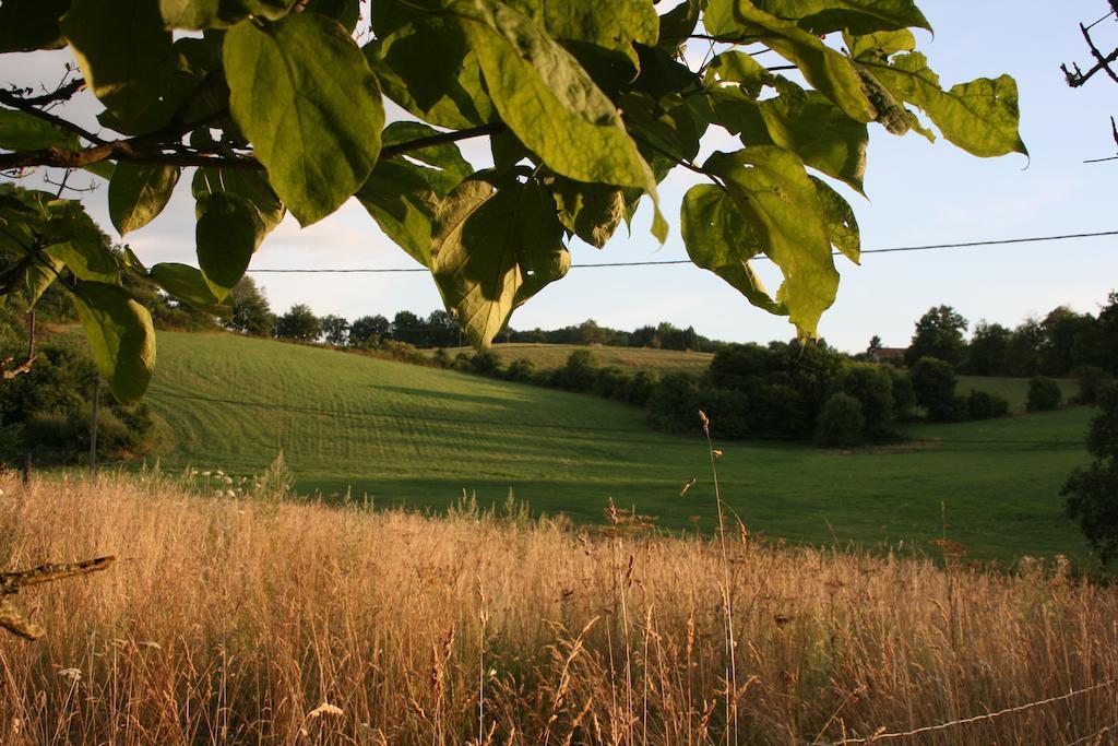 Domaine De Romefort Saint-Léonard-de-Noblat Værelse billede